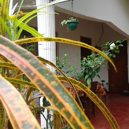 Winstar Homestay Sigiriya Eksteriør billede