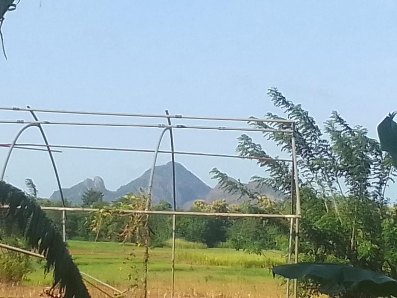 Winstar Homestay Sigiriya Eksteriør billede