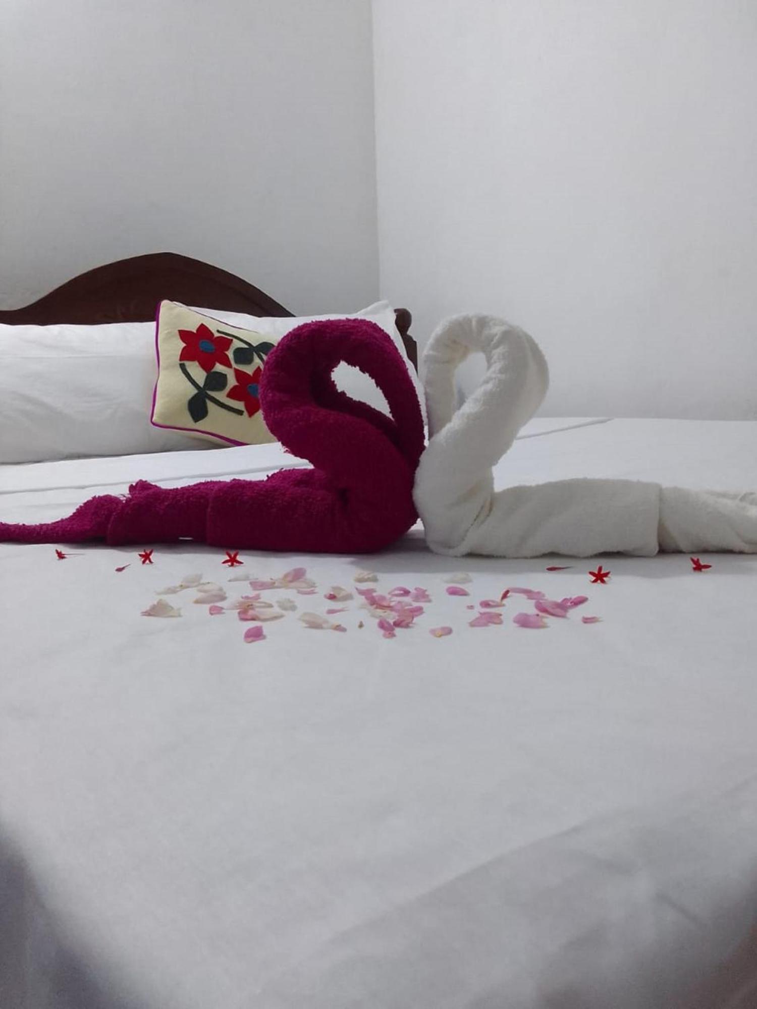 Winstar Homestay Sigiriya Eksteriør billede