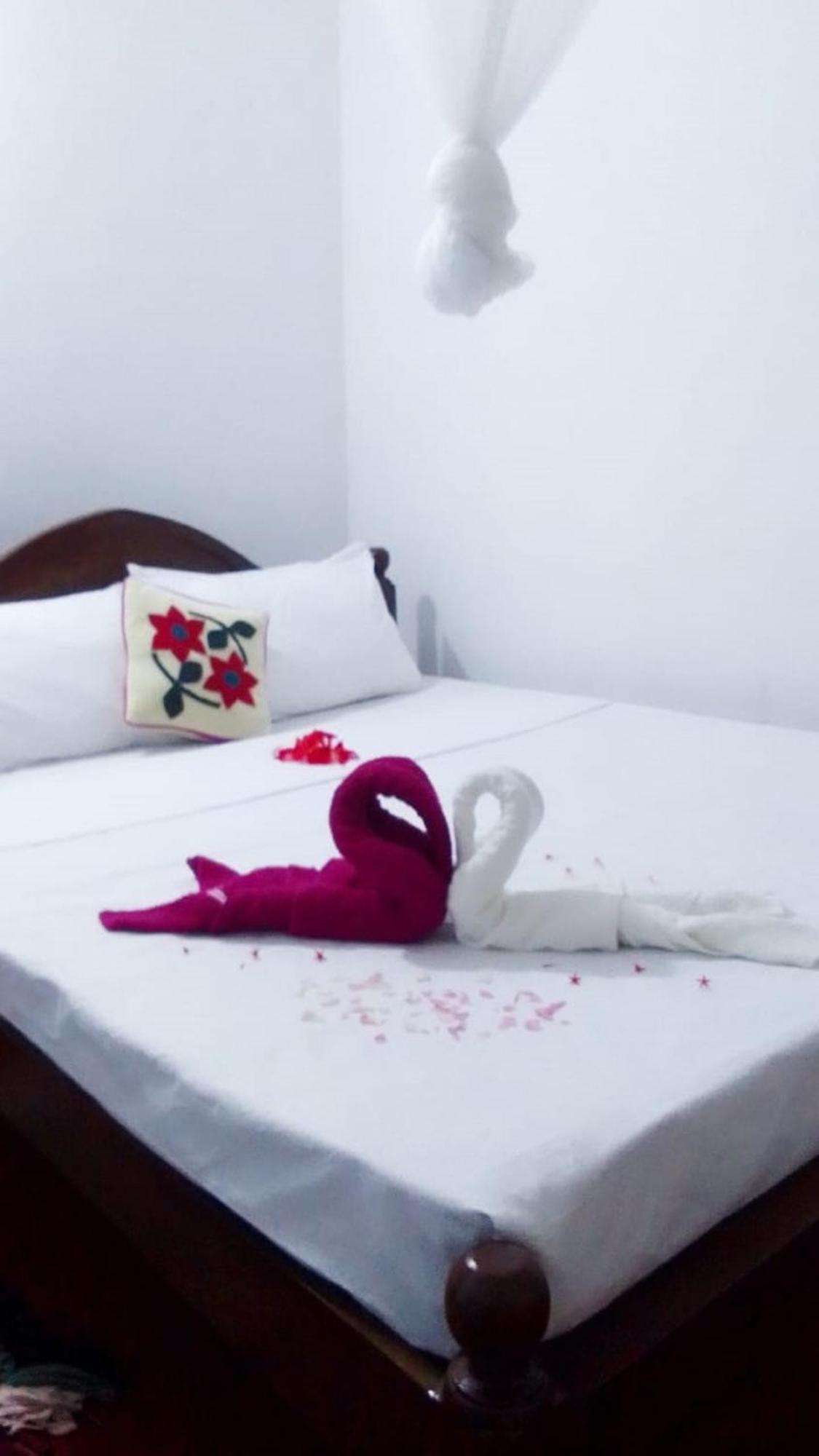 Winstar Homestay Sigiriya Eksteriør billede