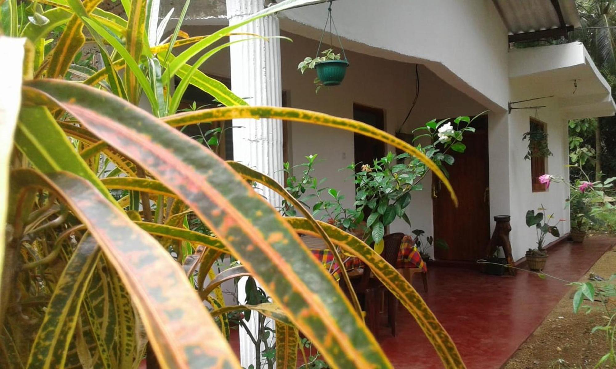 Winstar Homestay Sigiriya Eksteriør billede